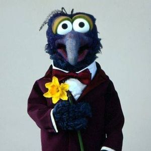 Meet your Posher, Chadwick